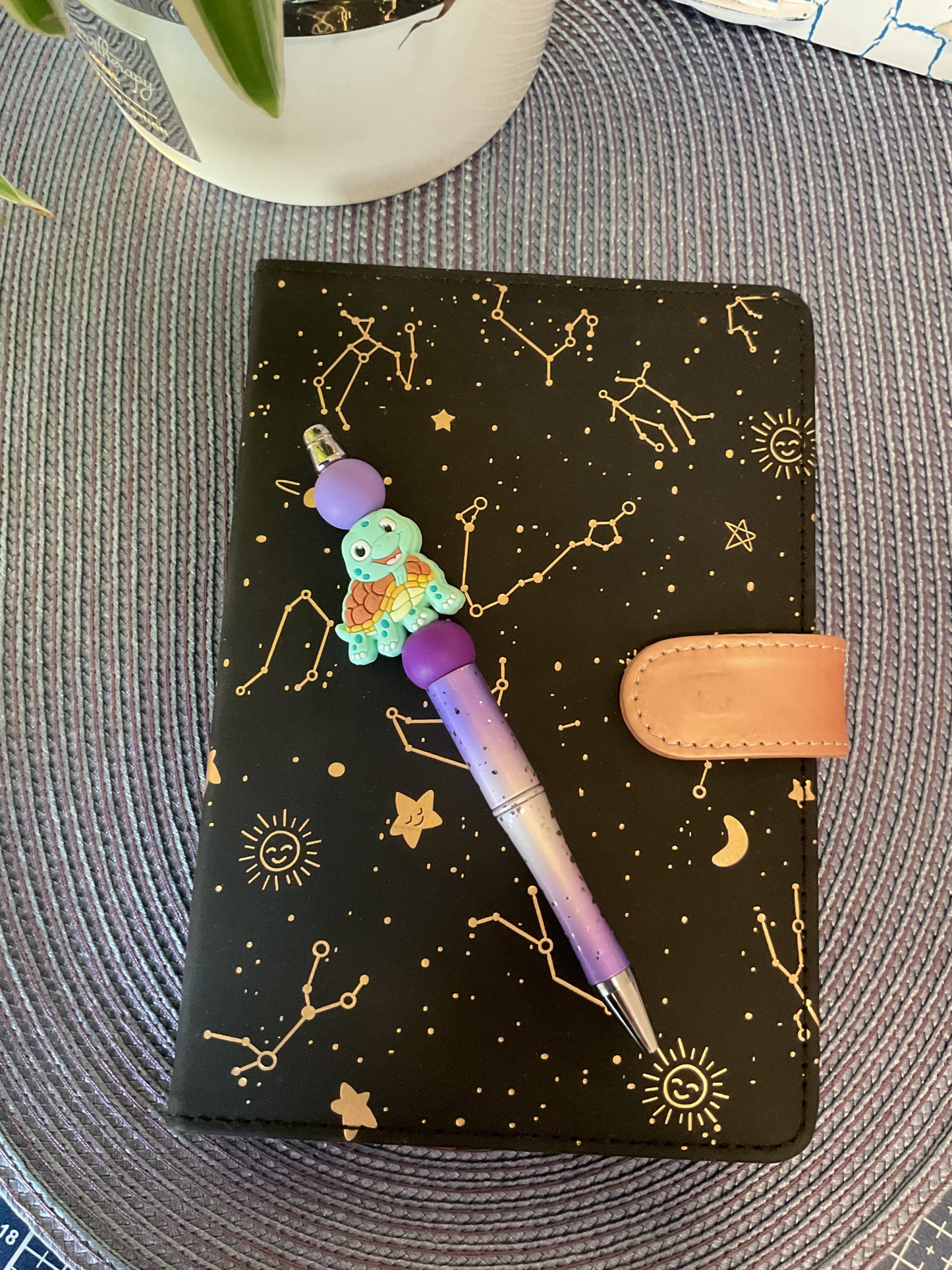 Propiska “ŽELVIČKA”