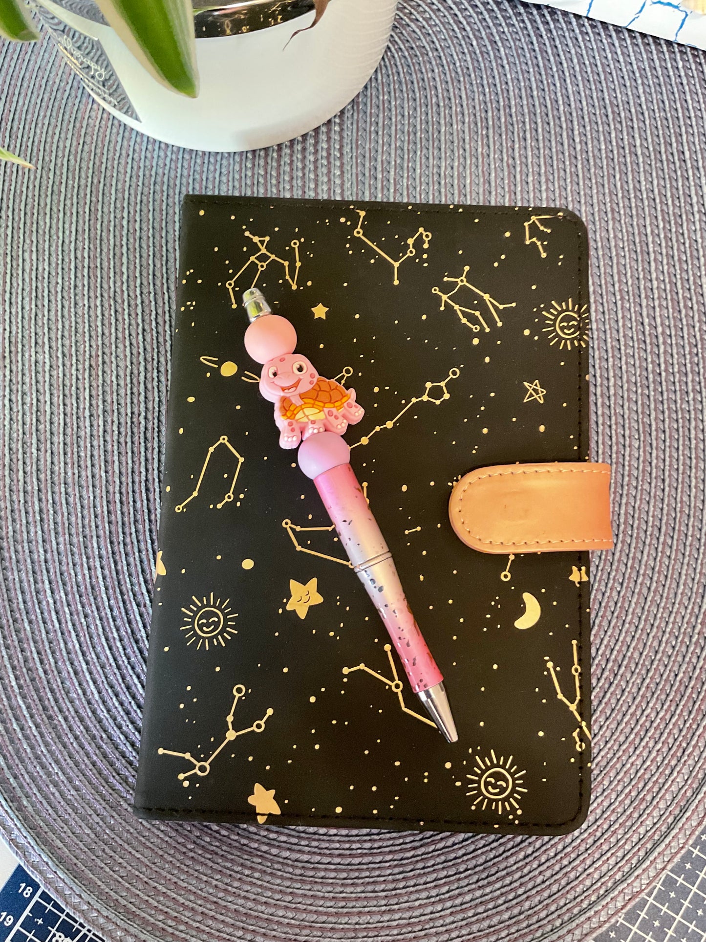 Propiska “ŽELVIČKA”