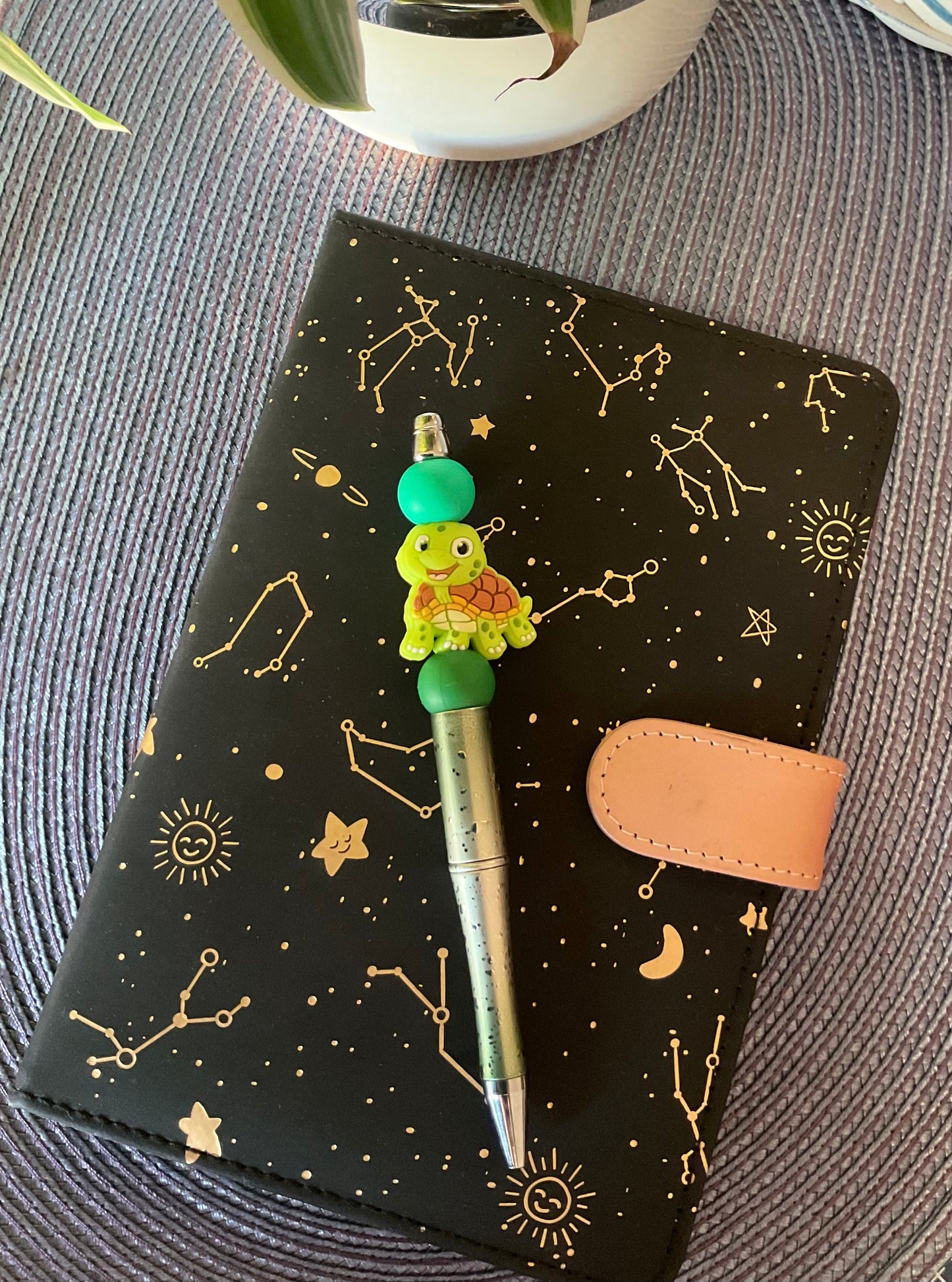 Propiska “ŽELVIČKA”