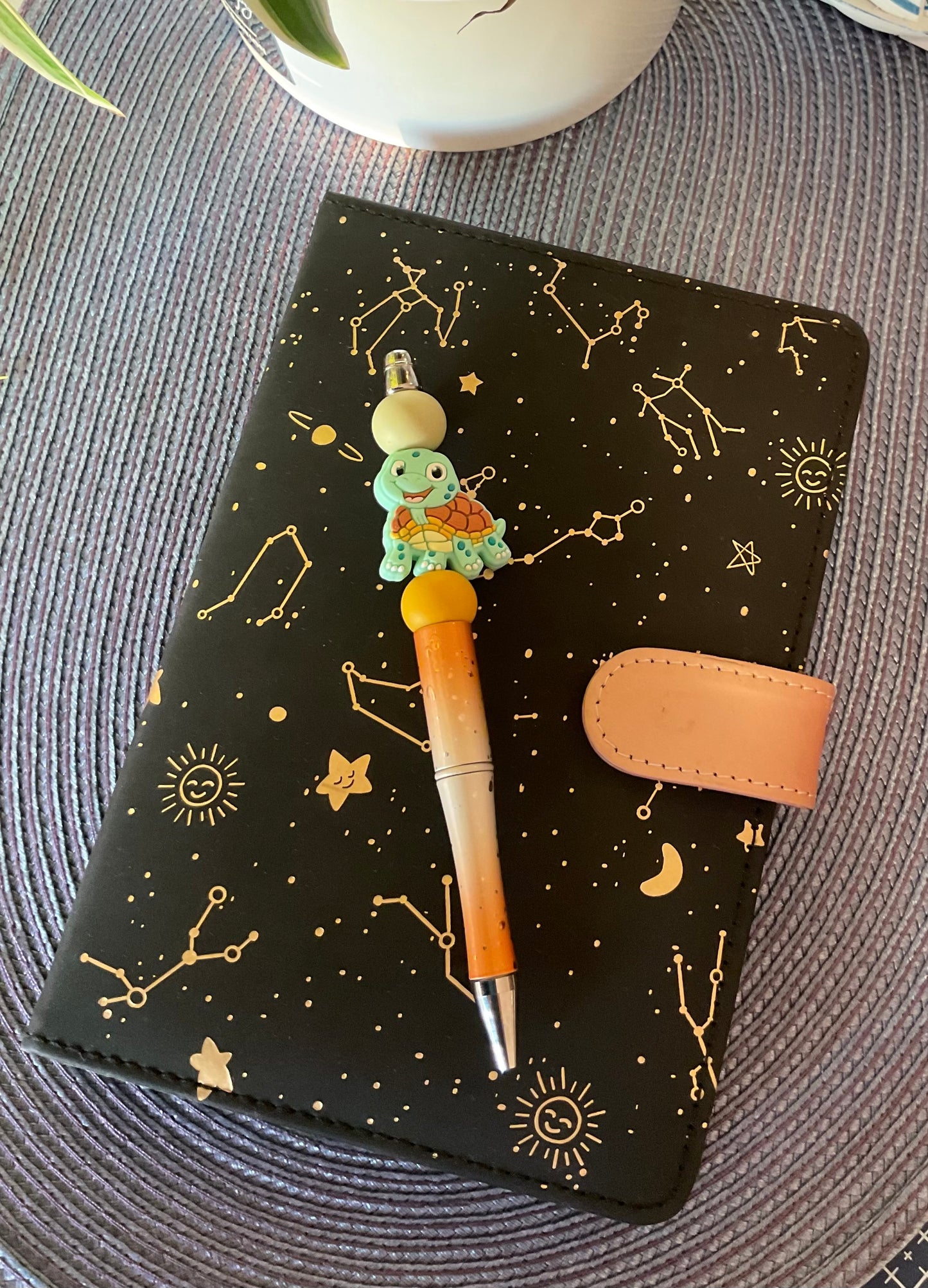 Propiska “ŽELVIČKA”