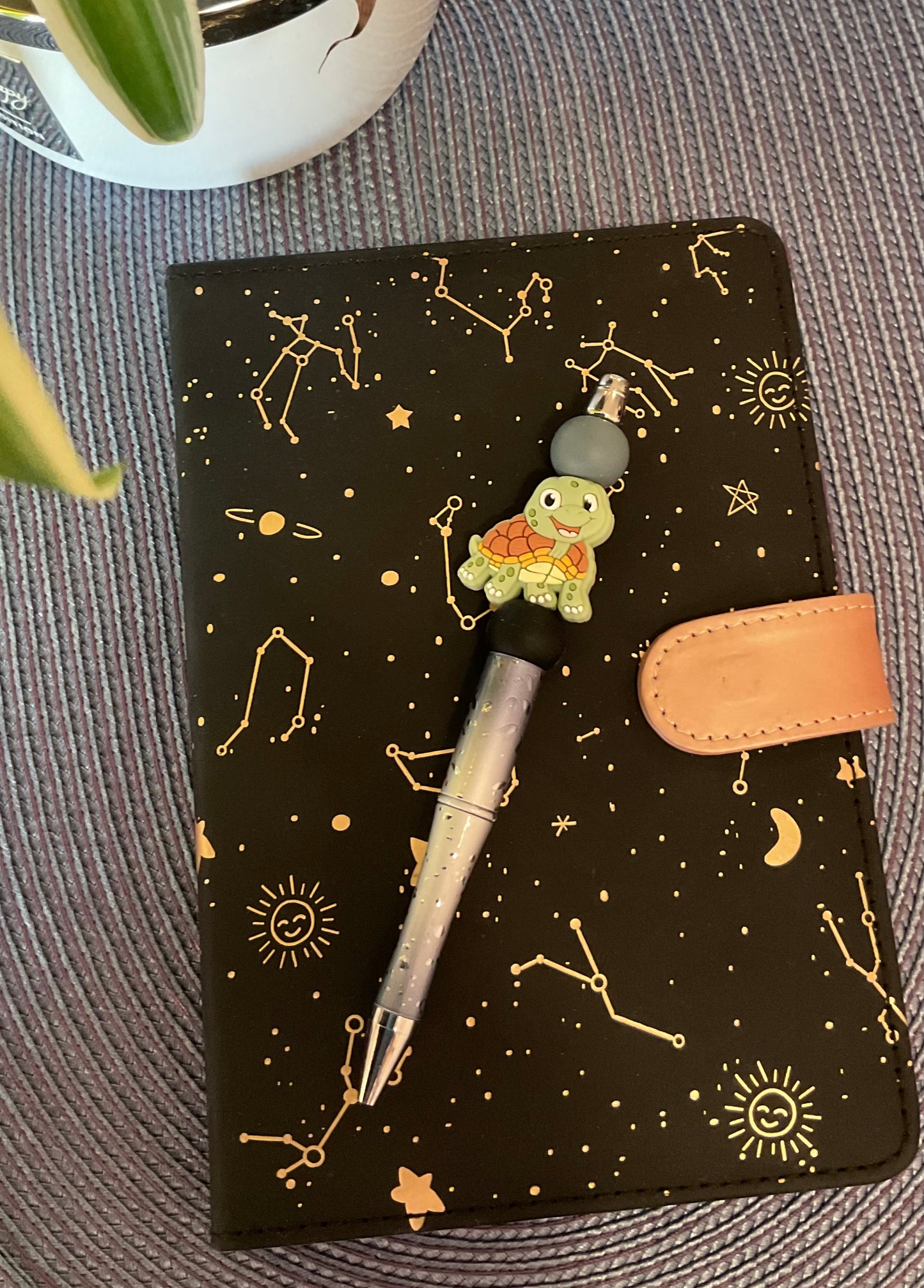 Propiska “ŽELVIČKA”