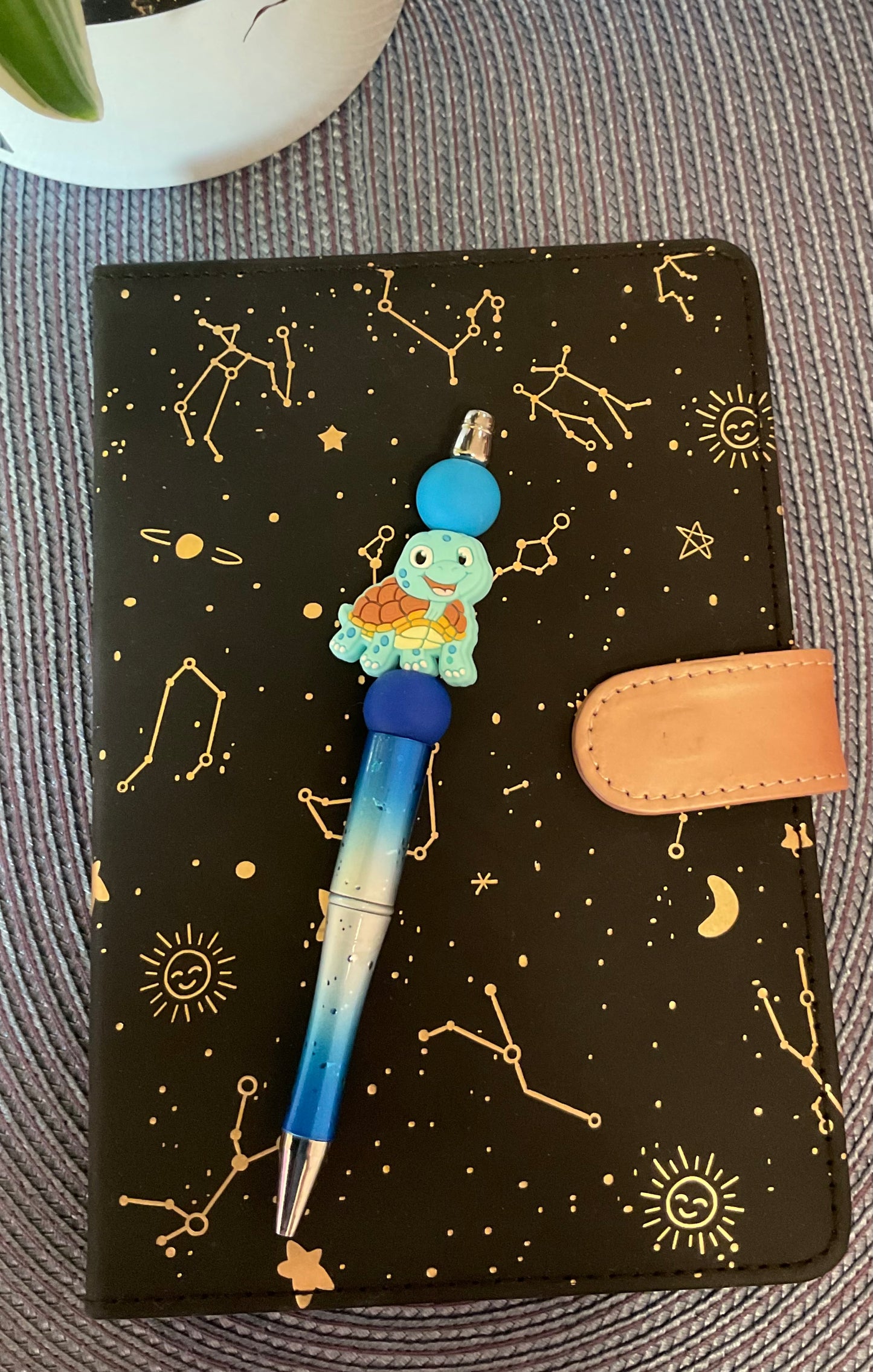 Propiska “ŽELVIČKA”