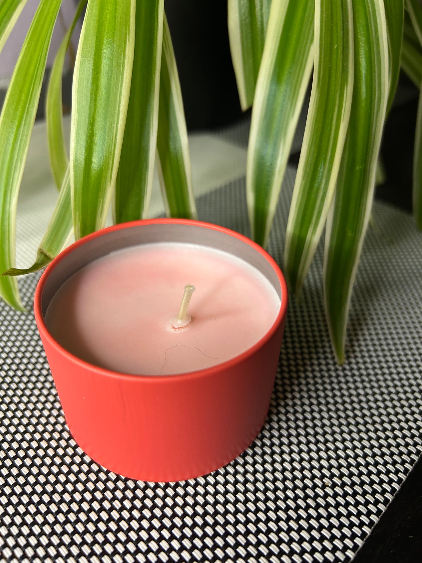 Starorůžová- LEVANDULE